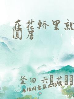 在花轿里就开始圆房