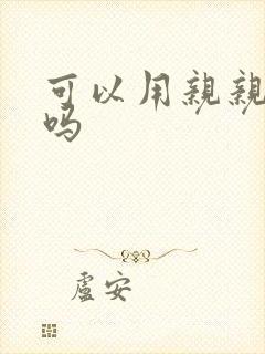 可以用亲亲赊账吗