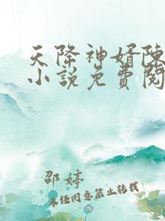 天降神婿陈黄皮小说免费阅读