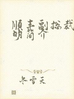 顺丰副总裁钟生明简介