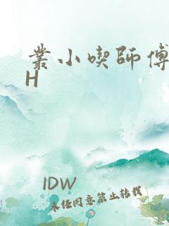 丛小吃师傅的HH