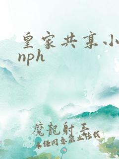 皇家共享小公主nph