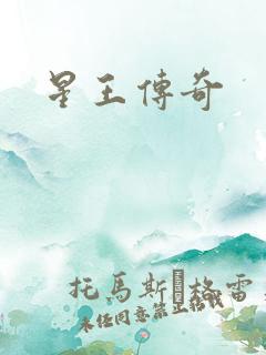 星王传奇