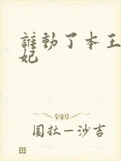 谁动了本王的悍妃