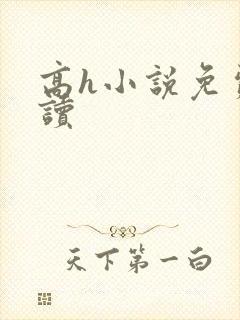 高h小说免费阅读