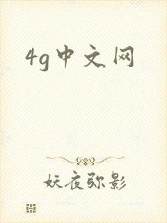 4g中文网
