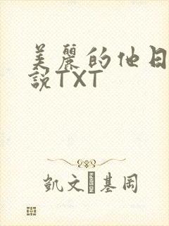 美丽的他日剧小说TXT