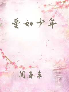爱如少年
