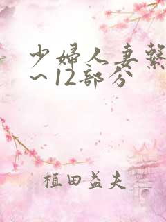 少妇人妻系列1～12部分