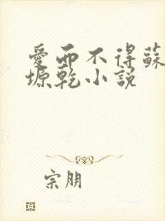 爱而不得苏路顾塬乾小说