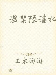 温絮陆湛北