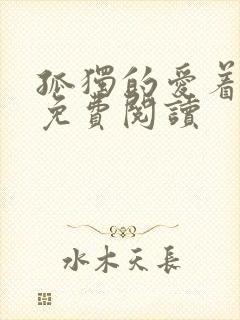 孤独的爱着全文免费阅读