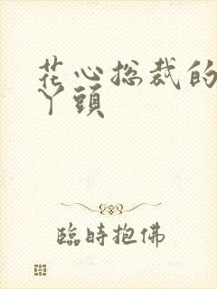 花心总裁的小小丫头