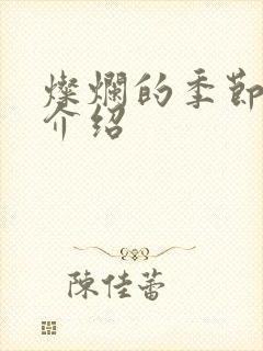 灿烂的季节剧情介绍