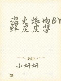 温火炖肉BY海鲜皮皮酱