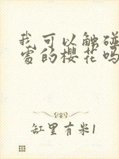 我可以触碰你深处的樱花吗