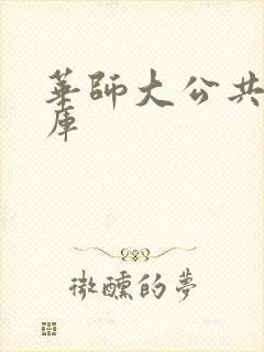 华师大公共数据库