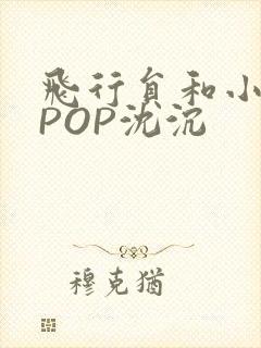 飞行员和小空乘POP沈沉