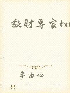 敛财专家txt