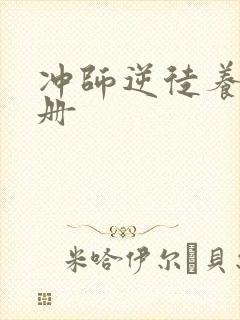 冲师逆徒养成手册