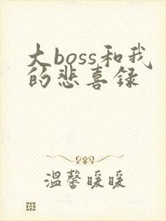 大boss和我的悲喜录