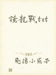 镜龙战txt
