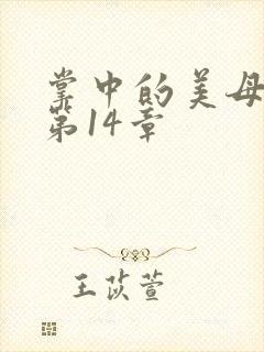 掌中的美母版主第14章