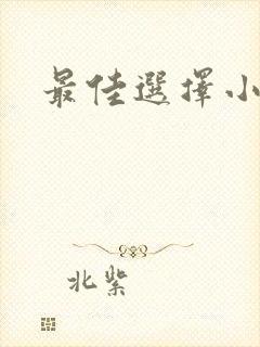 最佳选择小说