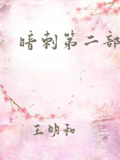 暗刺第二部