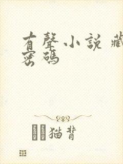 有声小说 藏地密码