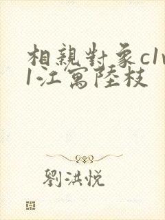 相亲对象c1v1江寓陆枝