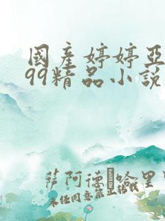 国产婷婷亚洲999精品小说