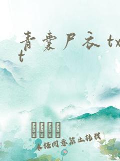 青囊尸衣 txt