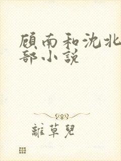 顾南和沈北是哪部小说