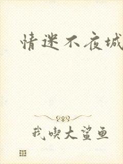情迷不夜城