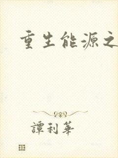 重生能源之王