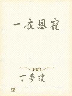 一夜恩宠