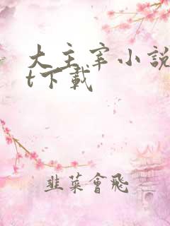 大主宰小说txt下载