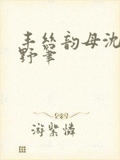 丰丝韵母沈蓉书野笔