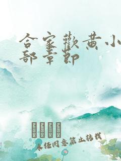 合家欢黄小梅全部章节