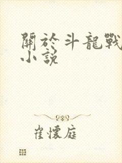 关于斗龙战士的小说