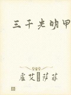 三千光明甲