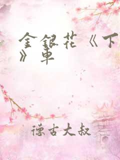 金银花《下厨房》车