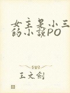 女主是小三很婊的小说PO