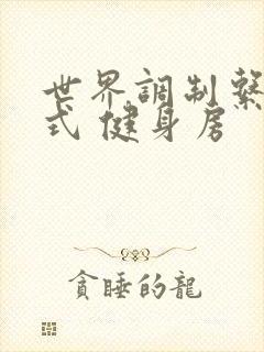 世界调制系统模式 健身房