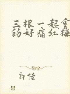 三根一起会坏掉的好痛红梅