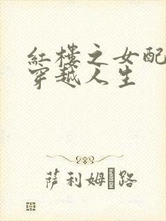 红楼之女配角的穿越人生