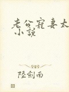 老公宠妻太甜蜜 小说