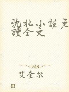 沈北小说免费阅读全文