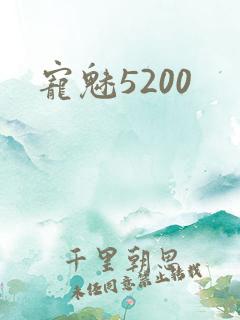 宠魅5200